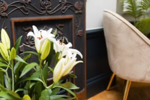 Dentist Prices in Leeds