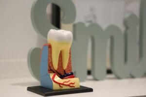 Choose a Trusted Clinic for Root Canal Treatment in Your Area NEW